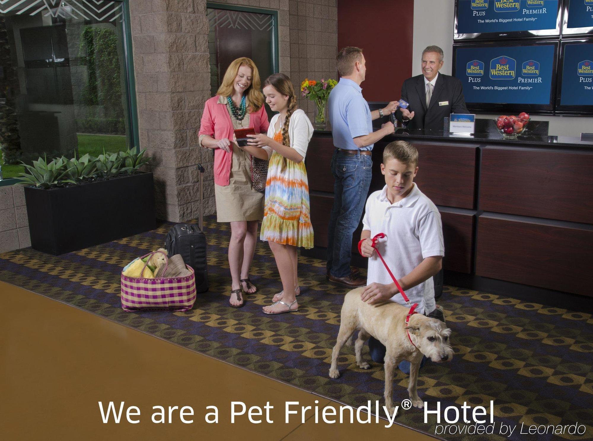 Best Western Plus A Wayfarer'S Inn & Suites Кингман Экстерьер фото